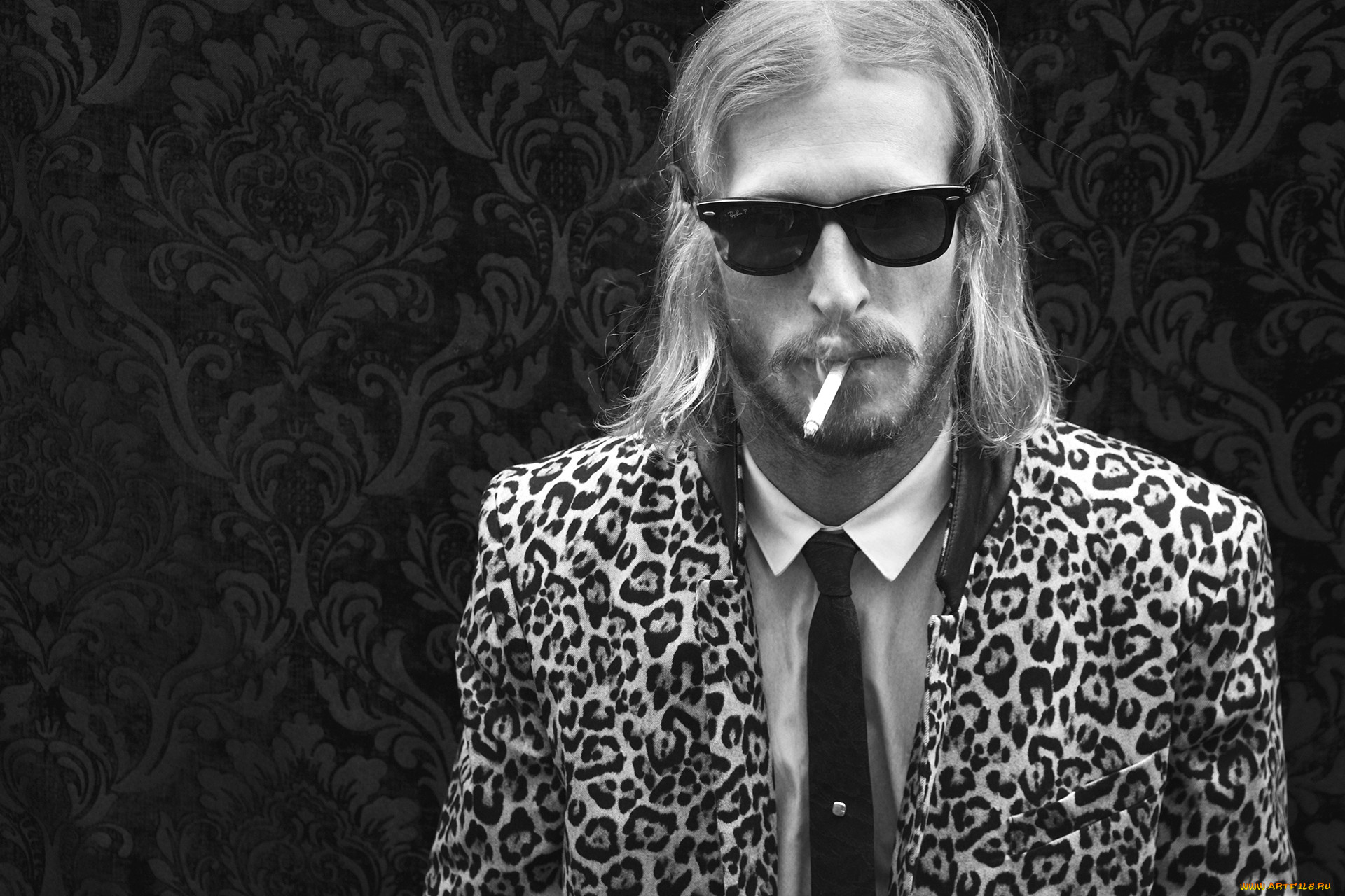 , austin amelio, austin, amelio
